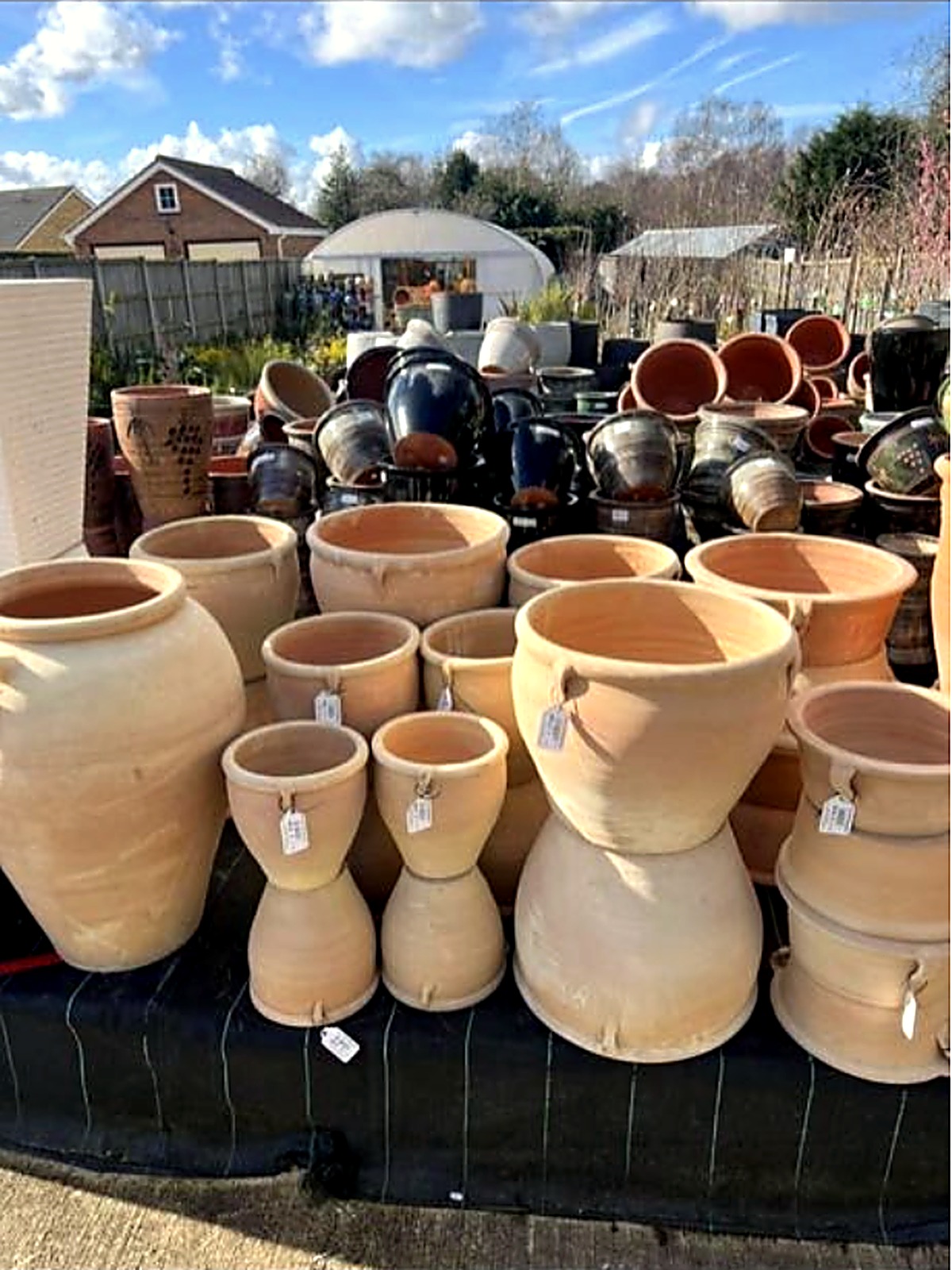 Terracotta pots in the yard under a summer sky
