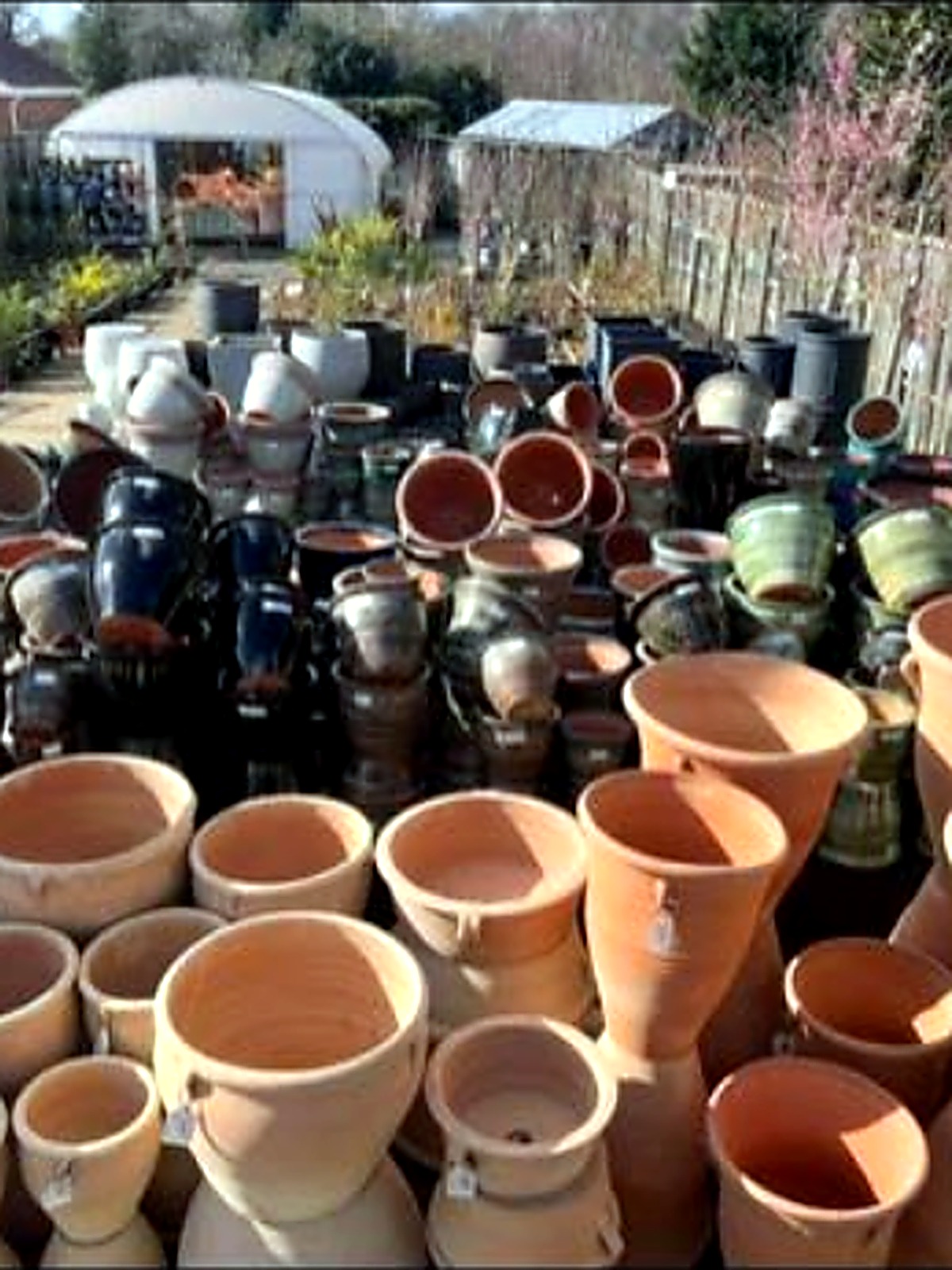 Rows of terracotta and glazed pots stacked along the pot yard