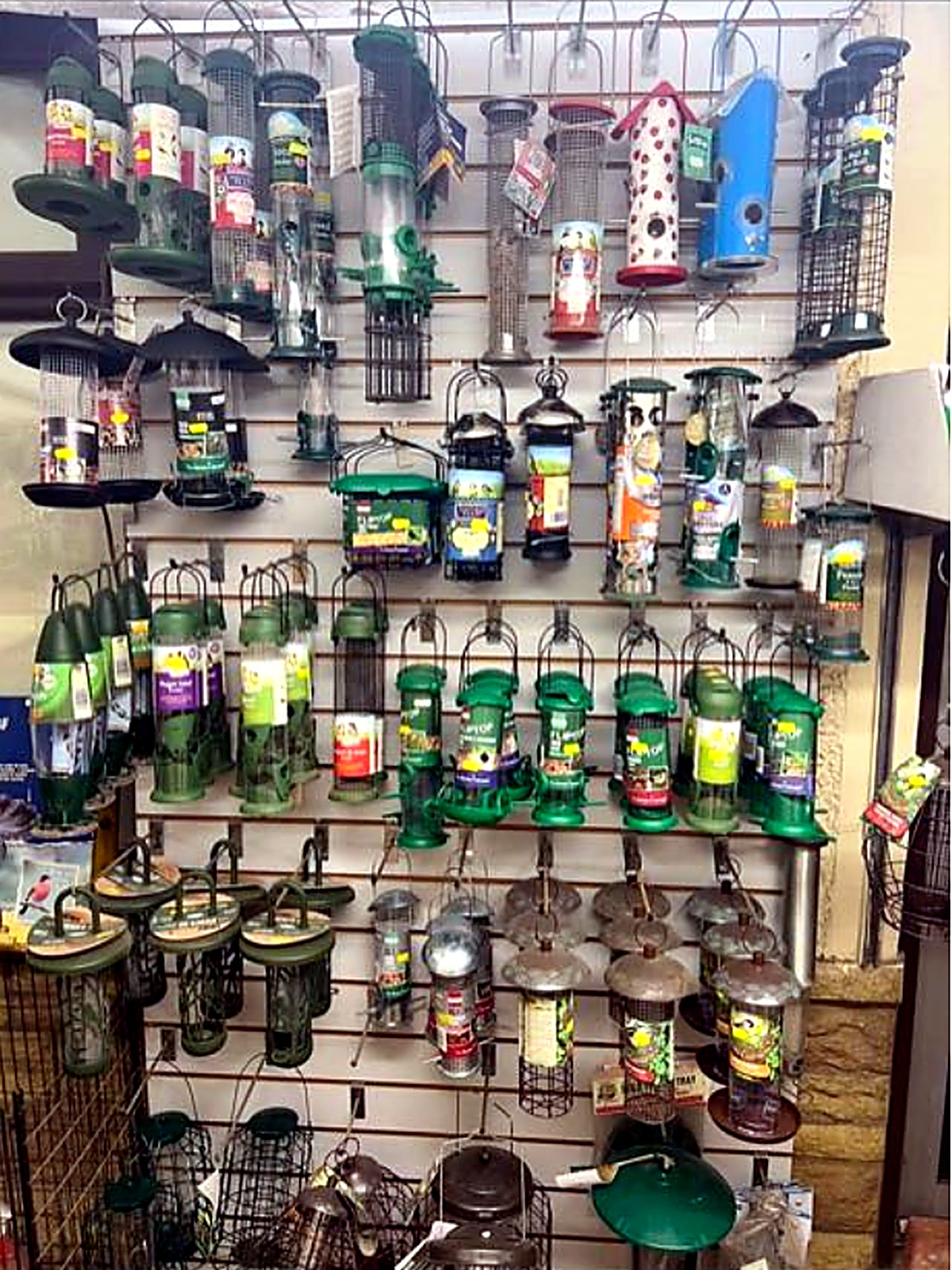 Wall of bird feeders, feeding stations and wild bird accessories